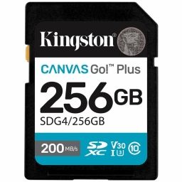 KINGSTON SDG4/256GB